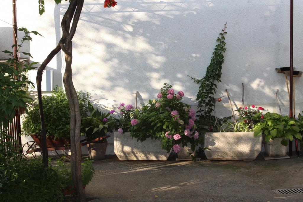 Apartments Becic Budva Exterior photo